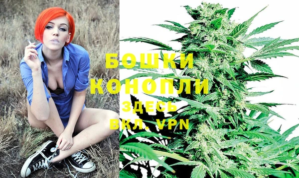 прущие крисы Осташков
