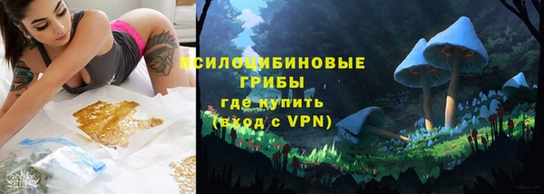 прущие крисы Осташков